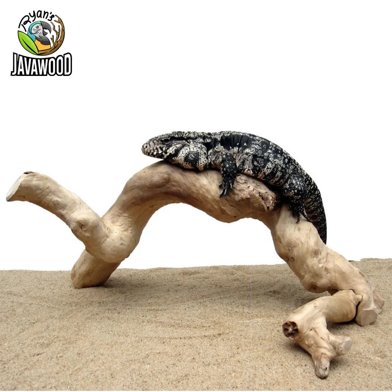 Reptile Terrarium Wooden Dish Climbing Javawood Branches For Basking