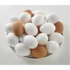 Fresh White Brown Table Eggs /Fresh Chicken Table Eggs & Fertilized Hatch