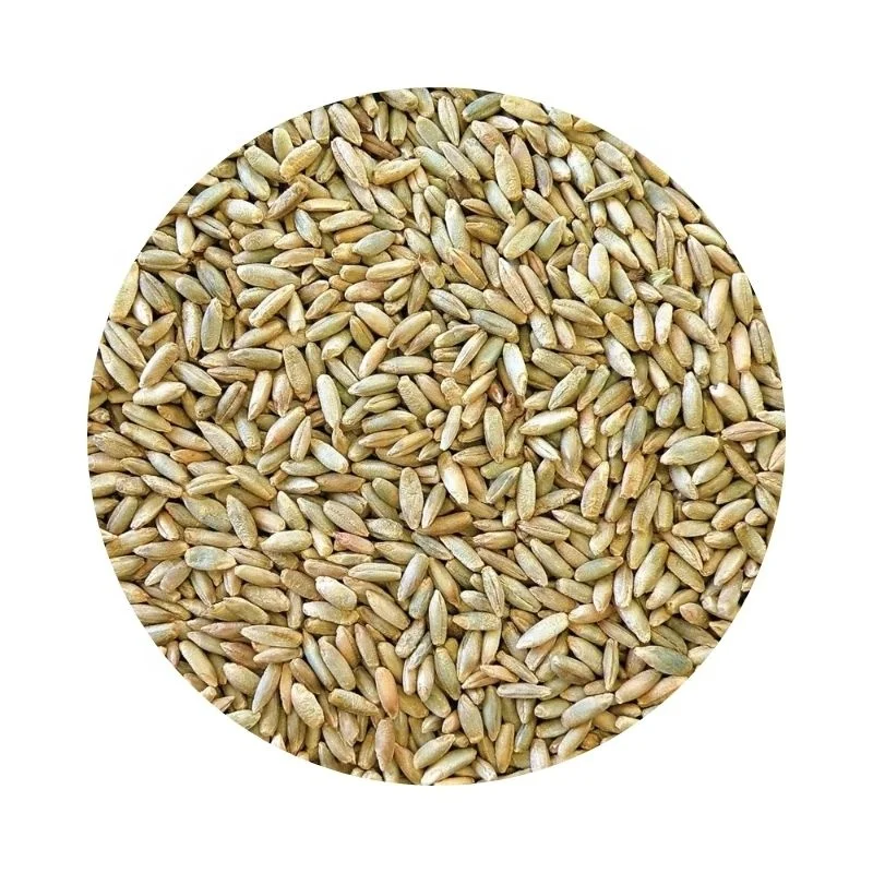 
Wholesale organic russian rye agricultural crop 