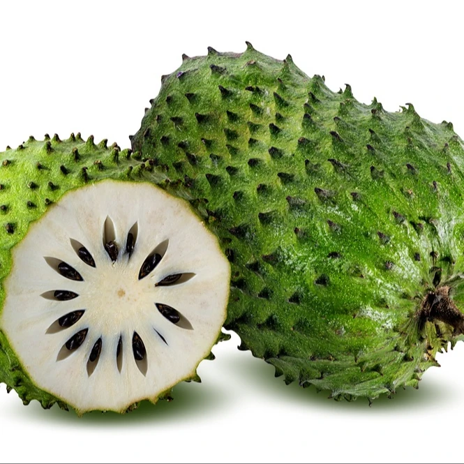 Fresh Soursop/ Graviola - Whole Year Supply - 2023 Good Price - Buy ...