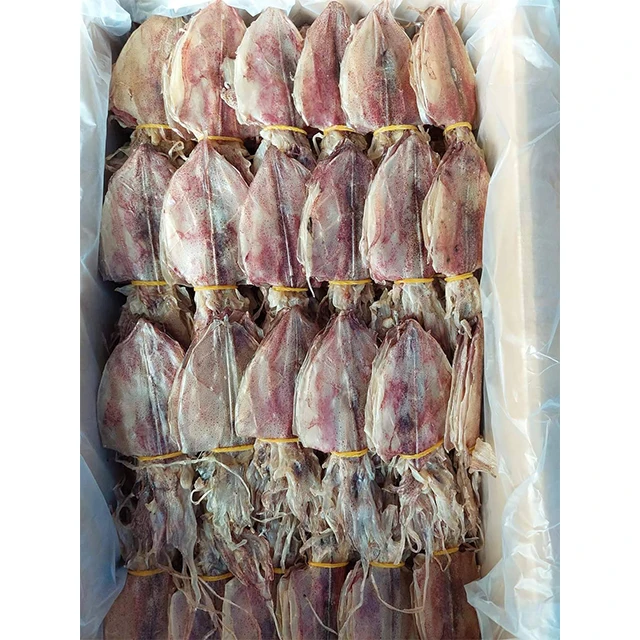 Wholesale High Grade Best Quality Dried Squid From Thailand (4 Inch