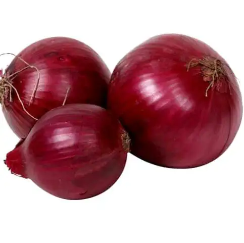 Fresh Onion12.jpg