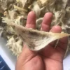 Raw Swiftlet Nest