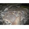 /product-detail/wet-salted-deer-skins-wet-salted-donkey-hides-wet-salted-horse-hides-of-good-quality-62012655883.html