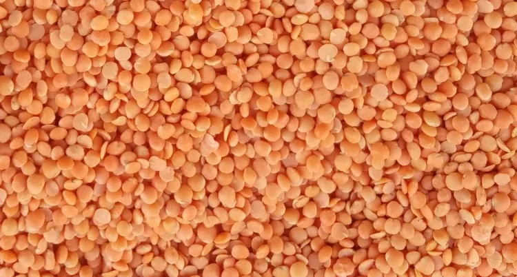 red lentils for export & premium quality hulled red lentils