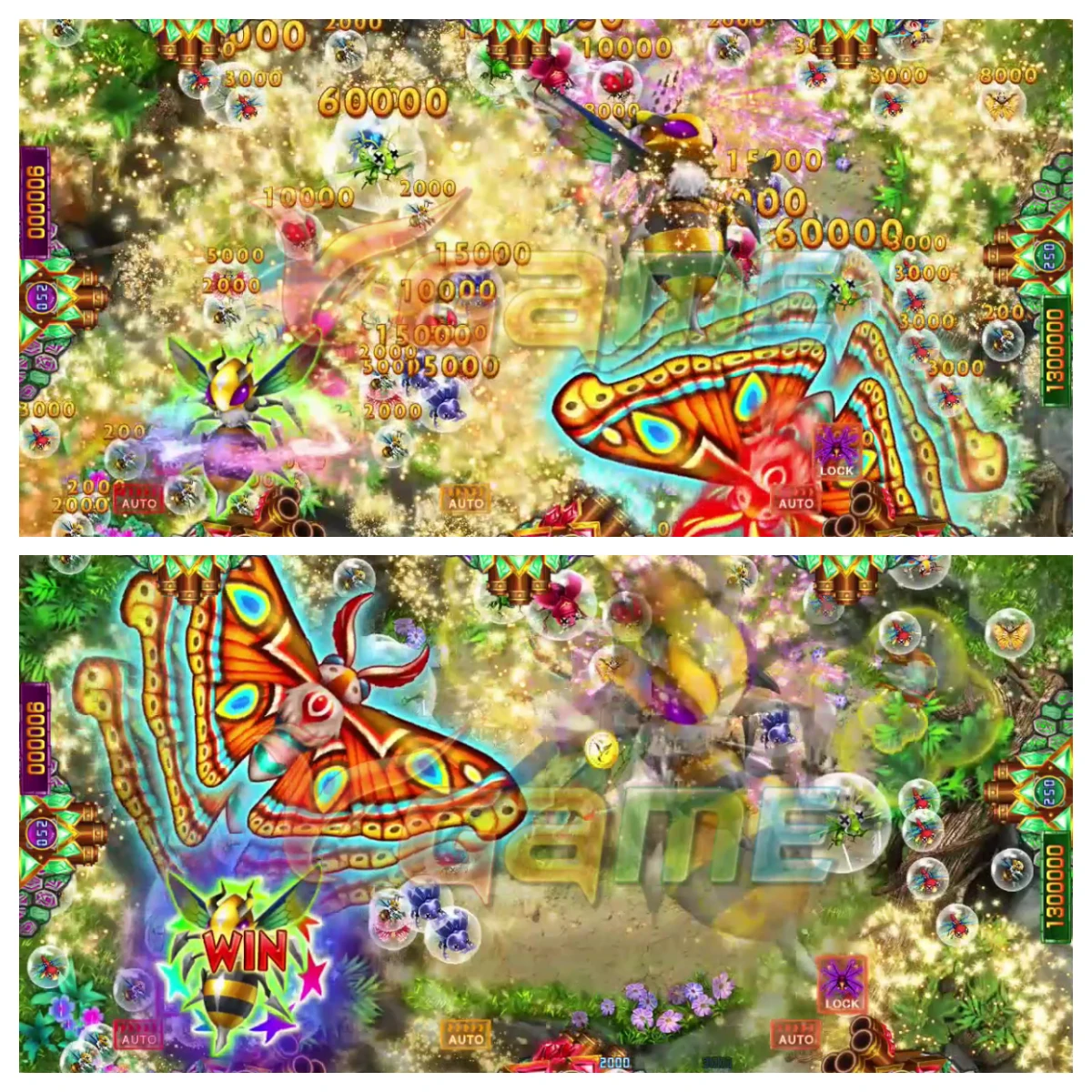 Amusement Park Products