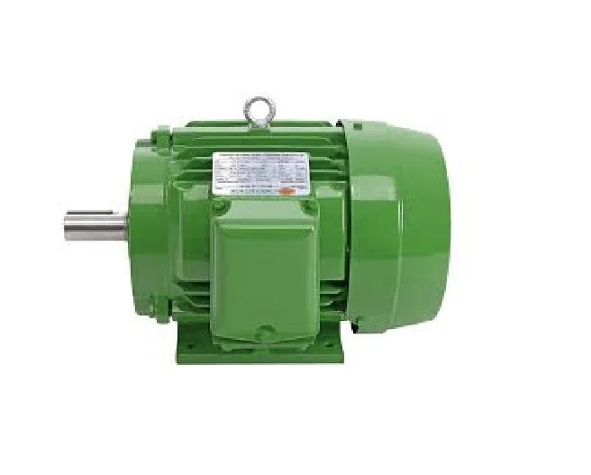 
Toshiba LV Electric Motor 