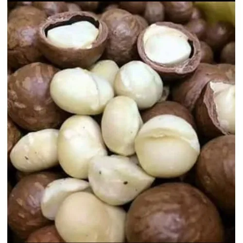 
Premium quality organic Common dried Macadamia from Daklands brand and made in Vietnam 