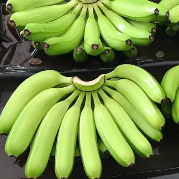 
Harvest 2020 sell banana importers carton box 13kg 