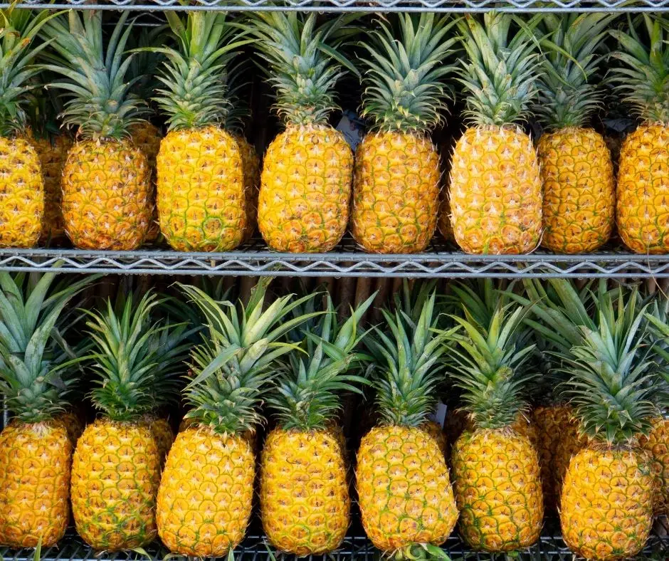Pineapple game. Pineapple game