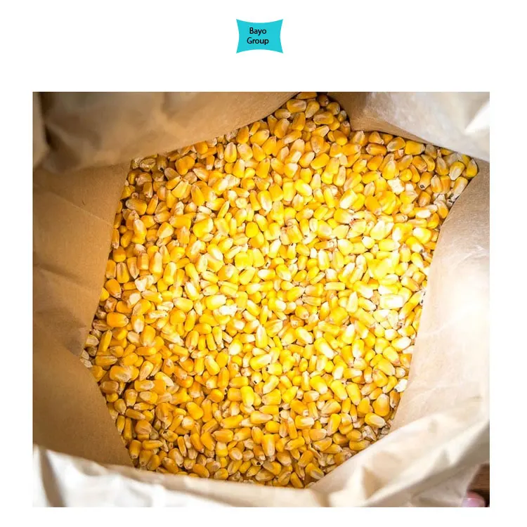 
South Africa Origin Dealer of 50kg Weight Yellow Corn/Maize Flour for Bulk Buyers 