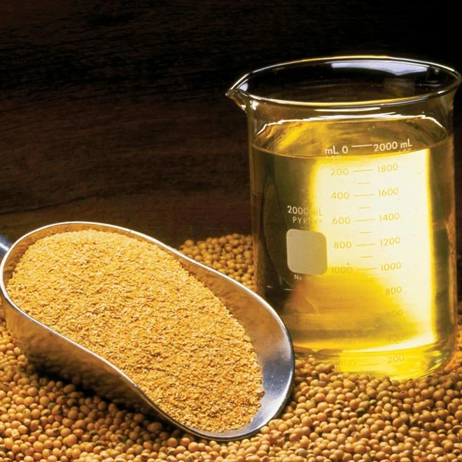 
Top Quality Refined Soybean Oil in Bulk or Bottled 