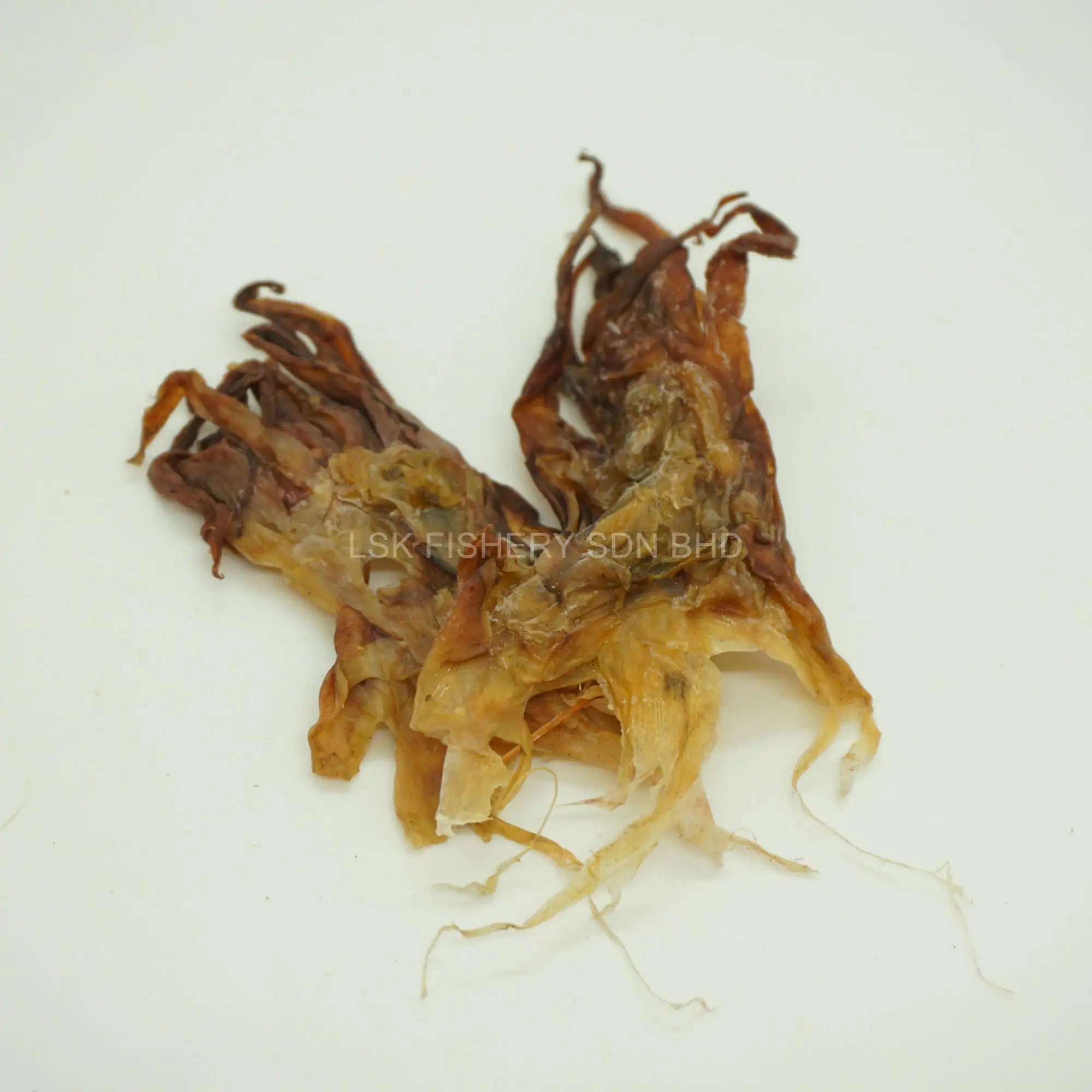 DSC00852_meitu_1.jpg