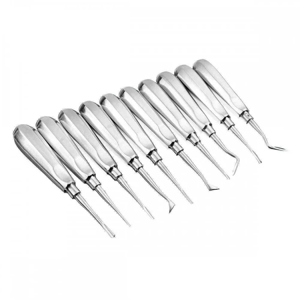 Dental Surgical Instrument Dental Root Elevator Stainless Steel