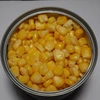 /product-detail/sweet-corn-in-salt-62015842581.html