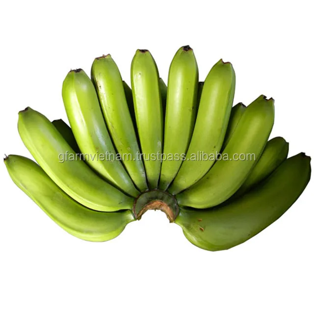 
NEW 2020 Vietnam export fresh cavendish banana price per carton box 