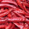 /product-detail/cheap-wholesale-bulk-items-dry-red-chilli-sichuan-pepper-importers-price-per-kg-red-chilli-for-sale-62013778687.html