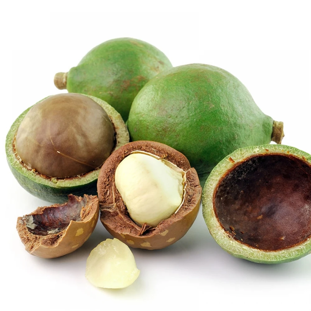 macadamia nut 56.jpg