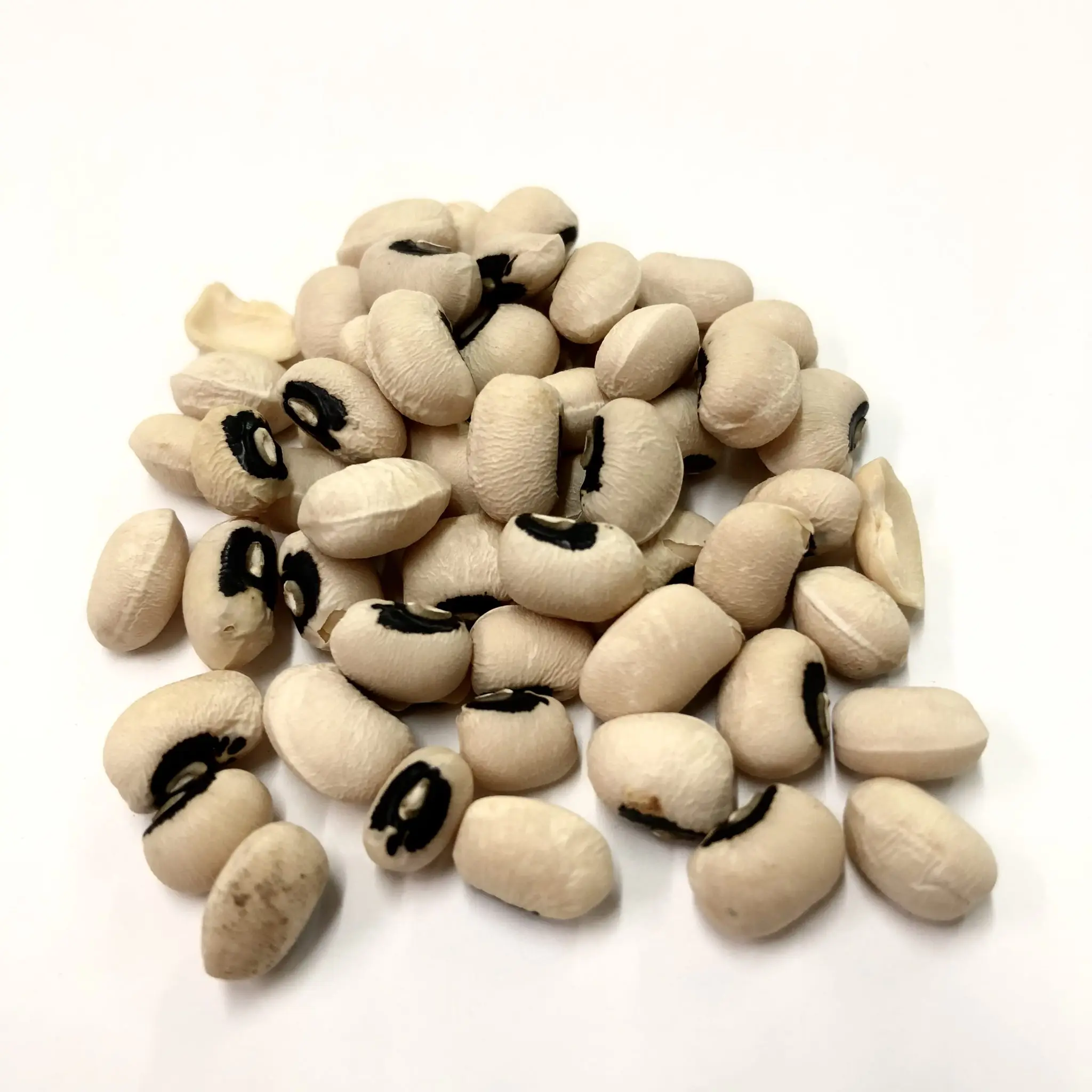 all industries agriculture beans kidney beans