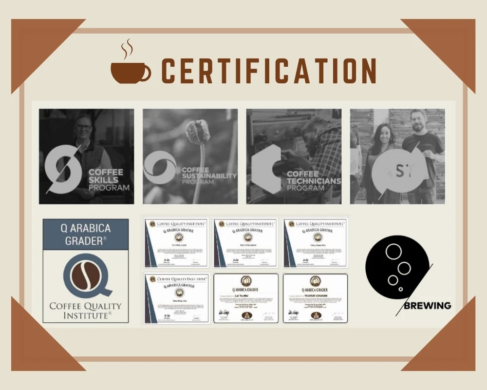 Halal Certification Colombia Brazil Guatemala Arabica Medium Dark Roasted Coffee Beans Buy Price Of Coffee Bean Coffee Flavor Radar Analysis Drip Coffee Oem Odm Cafe Coffee Shop American Coffee