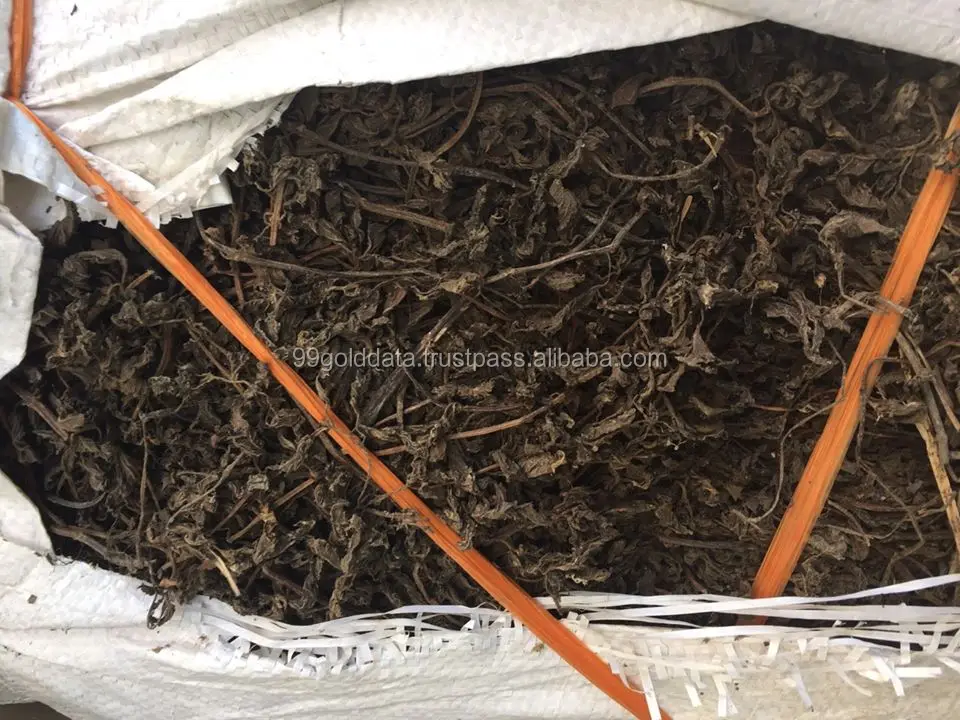 Dried Grass Jelly Leaf Material For Producing Grass Jelly/ Black Grass