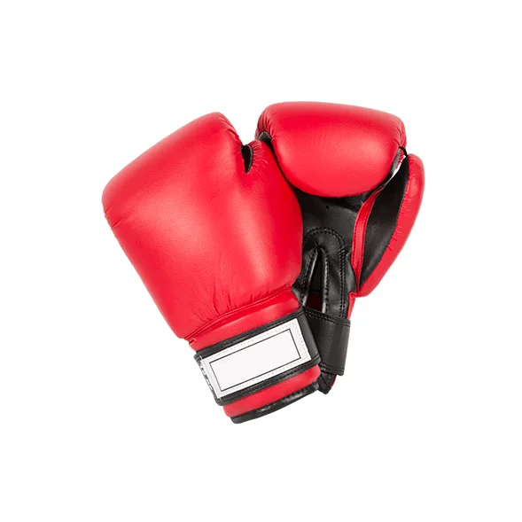 Boxing Gloves Venum RS 12254