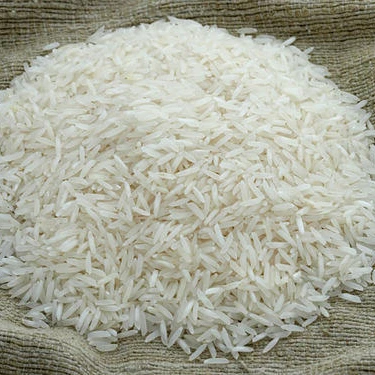 rice 3.jpg