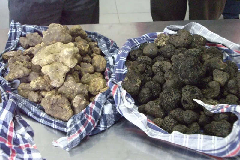 If You Want To Be A Winner, Change Your Fresh Truffles Philosophy Now!