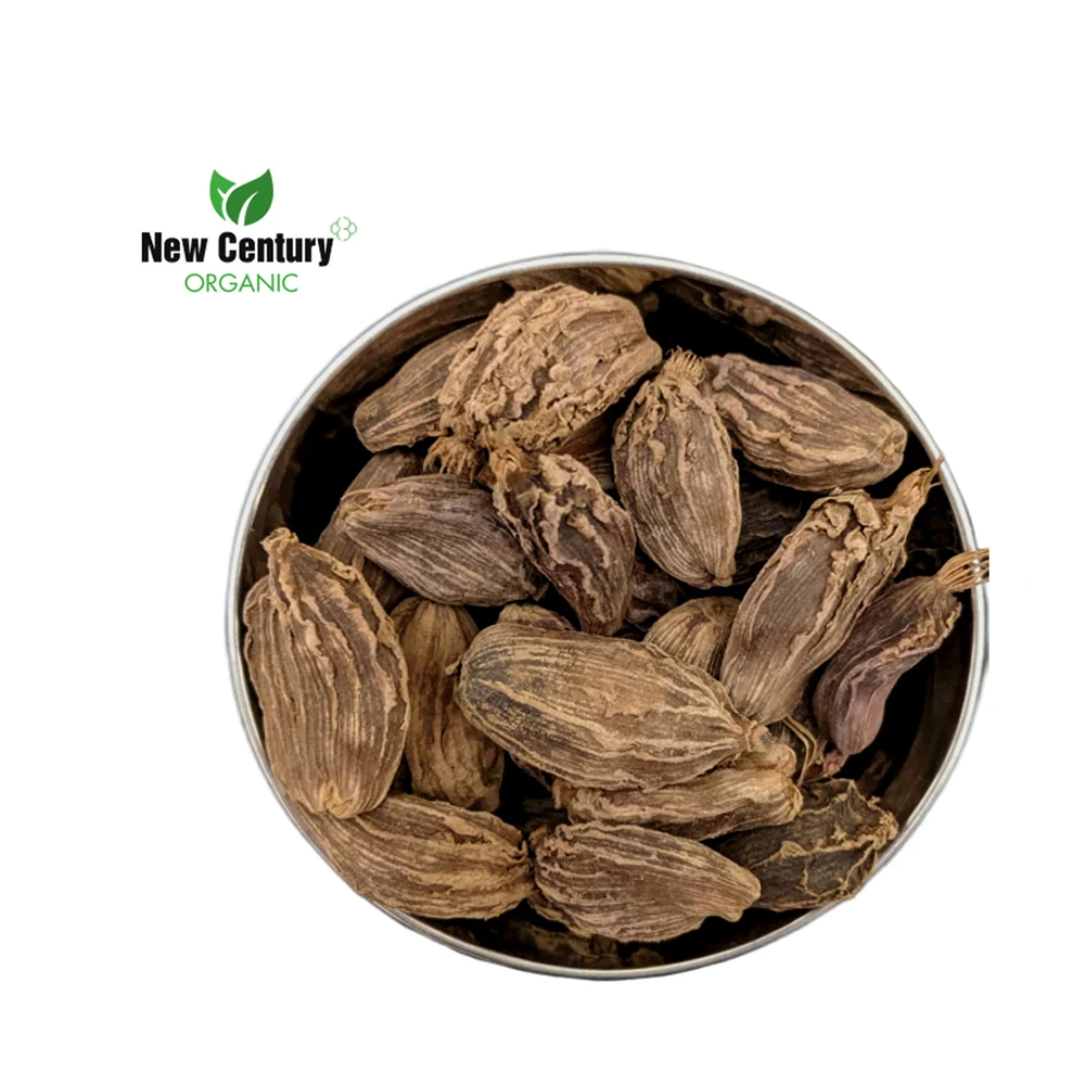 
True Vietnam Black Cardamom 