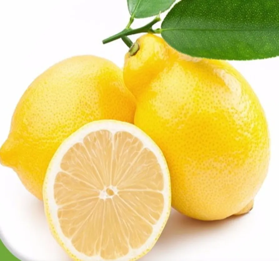 Fresh Lemon Seedless/ Fresh Fruit Hight Quality Buy Lemons In Bulk Fresh Lemon Fresh Lime And