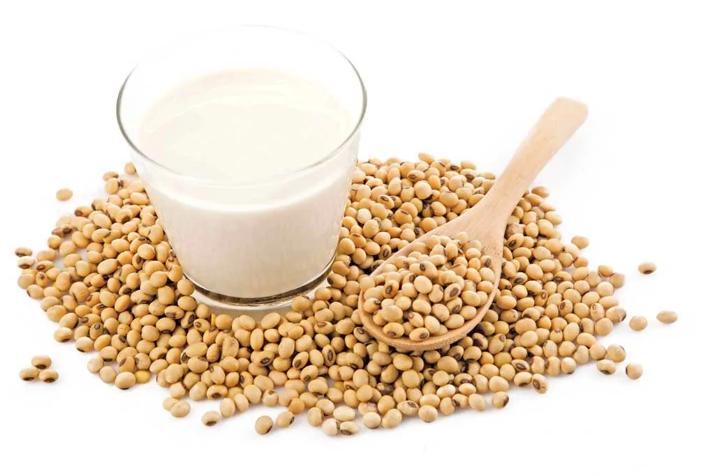 GMO and Non GMO Soyabean/Soybean for Sale