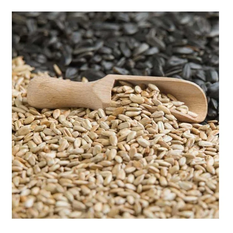 
Bulk raw sunflower seeds livestock feed agricultural crop 