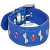 A Beautiful Genuine Leather Dog, Puppy And Pets Collar With Dog Lead (Size:Customized)