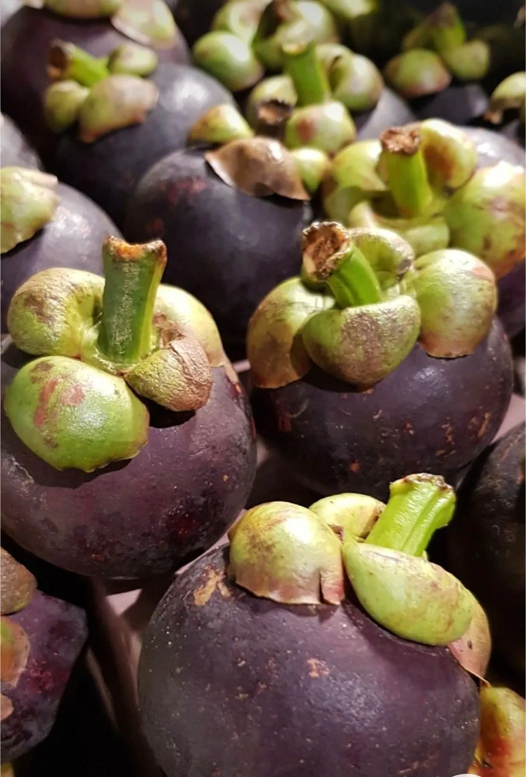 Fresh Fruit Mangosteen From Thailand Buy Mangosteen,Mangosteen Fruit,Mangosteen Fresh Fruit
