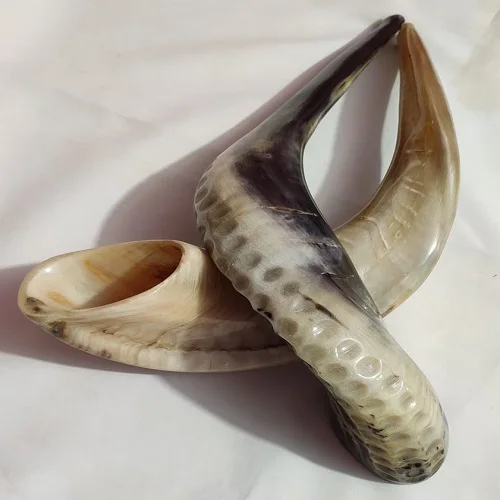 Oferta Venta Ram Cuerno Shofar 8to16 Pulgadas/kudu/pulido Shofar