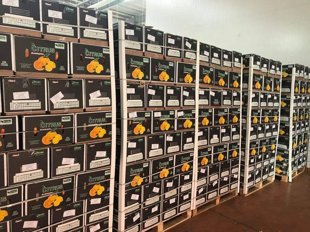 FB_IMG_1574790635674