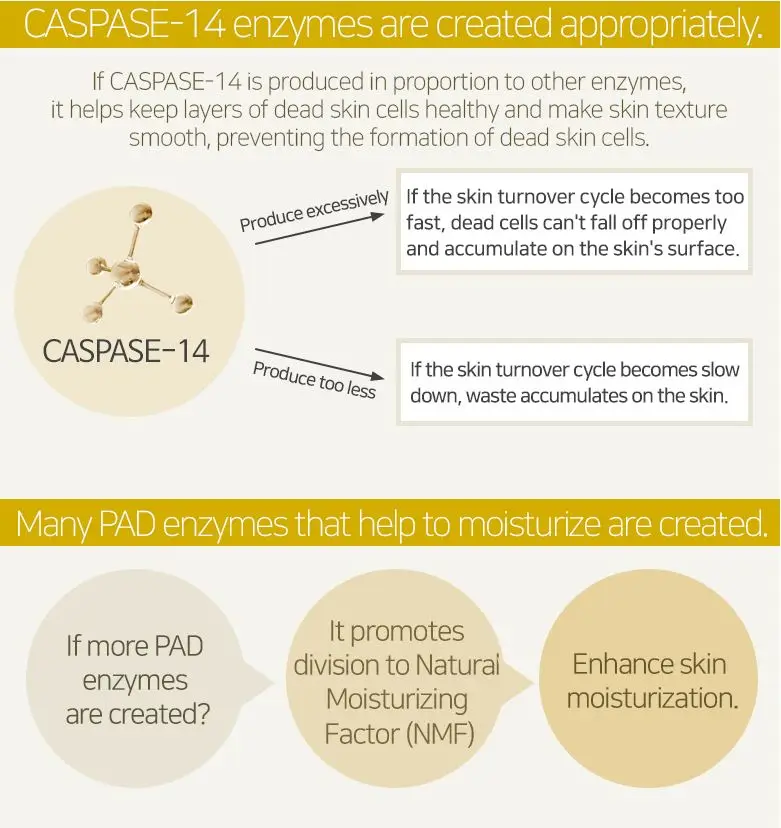 GALACTOMYCES AMPOULE 503.JPG