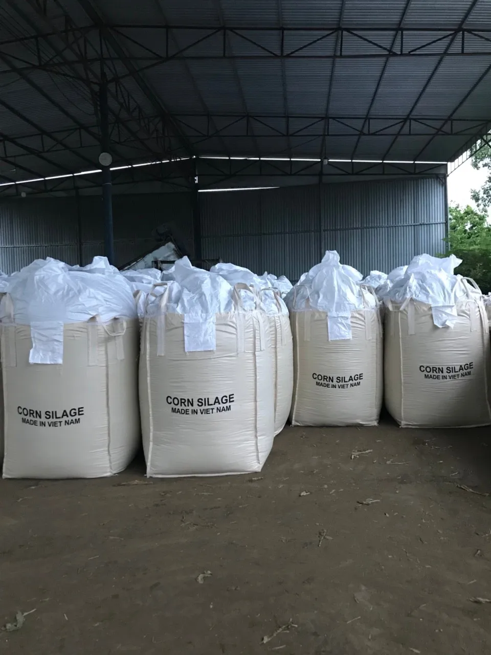 Wholesale Corn Silage Pellet Dried Corn Silage Buy Corn Silage Bag