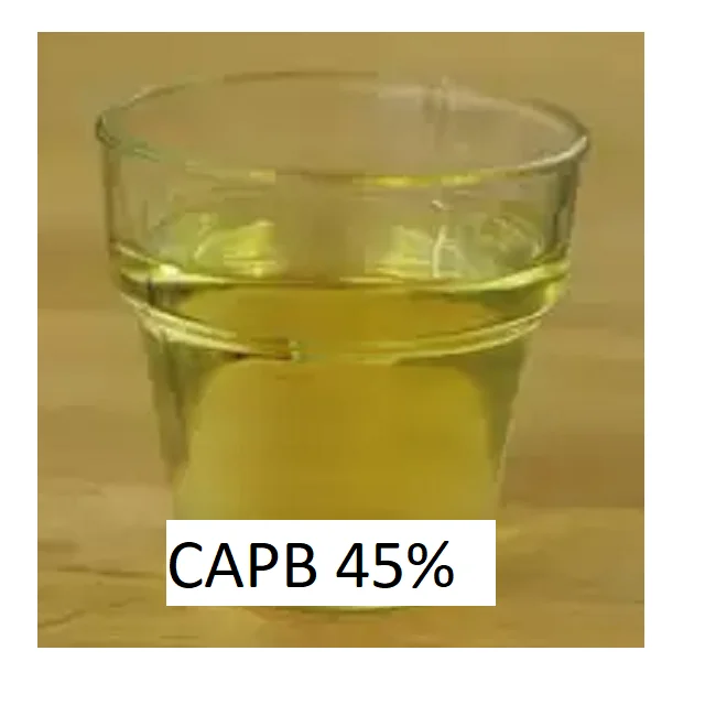 CAPB 45.png
