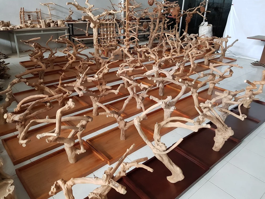 Java Wood Parrot Tree Bird Stand Wooden Perch Play Stand Feeding