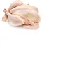 /product-detail/2019-excellent-taste-halal-chicken-feet-for-export-62014911345.html