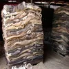 /product-detail/dry-salted-donkey-skin-cow-skin-goat-skin-62009780235.html