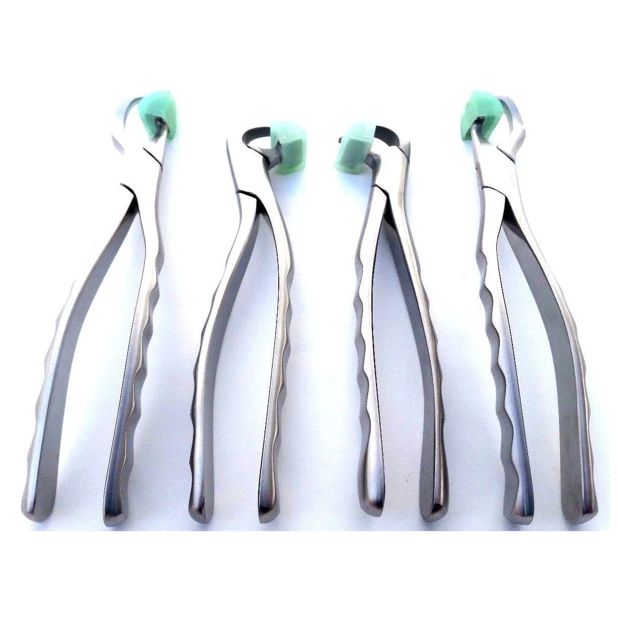 Dental Extracting Forceps 23 Cow Horn Lower Molar Teeth Surgical