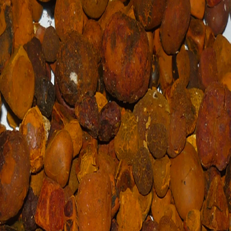 wholesale cow gallstone for sale natural cow ox