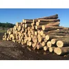 /product-detail/wood-logs-timber-logs-teak-wood-oak-wood-logs-62011323708.html