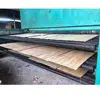 Top Selling Sample Excepted Natural Wood Veneer Plywood 4mm Rotary Lathe