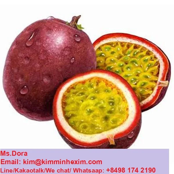 High Quality Fresh Passion Fruit From Viet Nam/ Hot Selling 2022 Fresh
