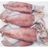 Frozen Squid/ Sea Frozen Squid/ Argentina Illex Squid