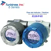 Flowrate Indicator / Totalizer - E Series - Model E110-P-01- Explosion Proof