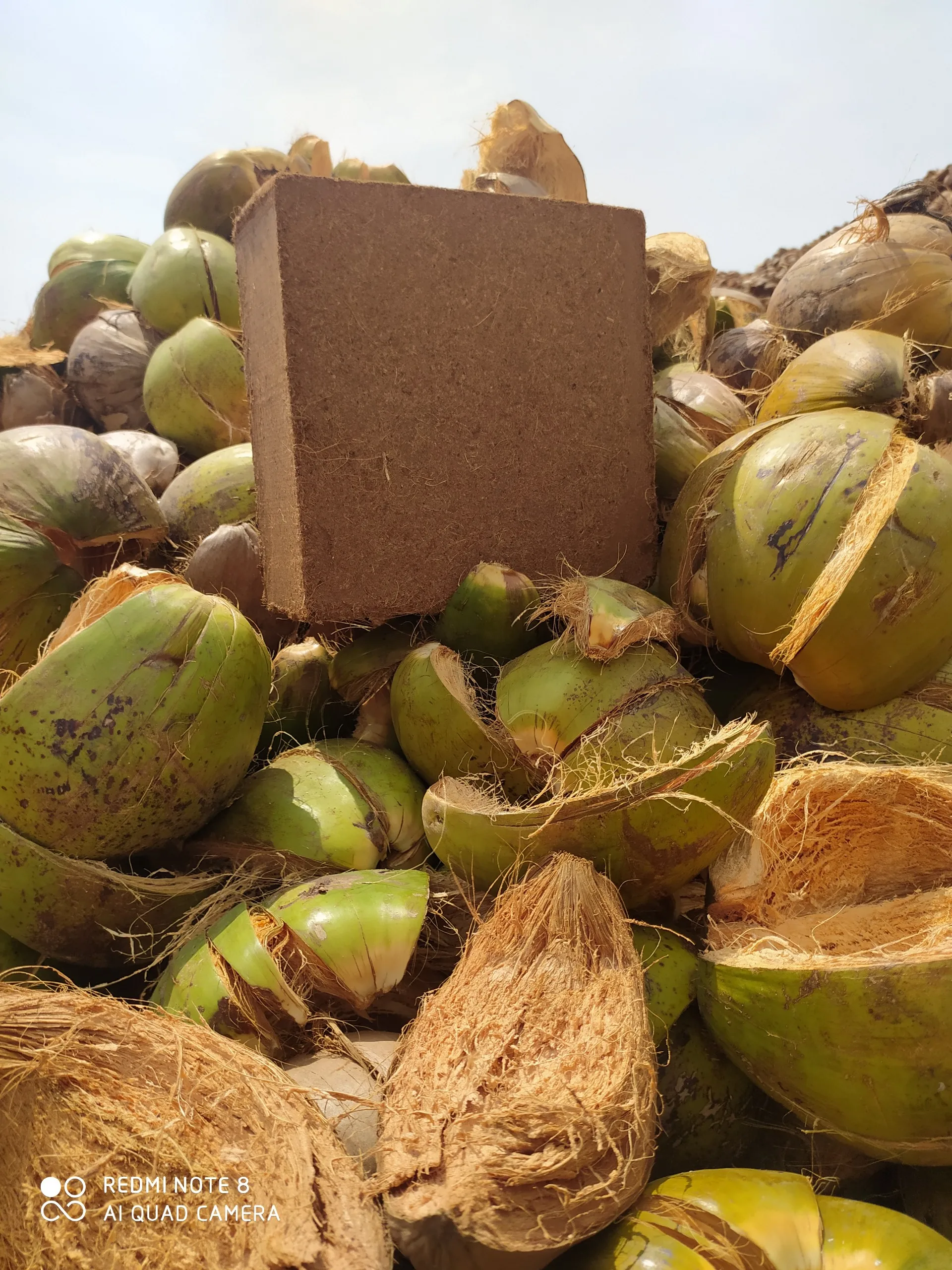 Cocopeat Coir Fiber Husk Fiber Coco Natural Organic Coir Fiber Pith